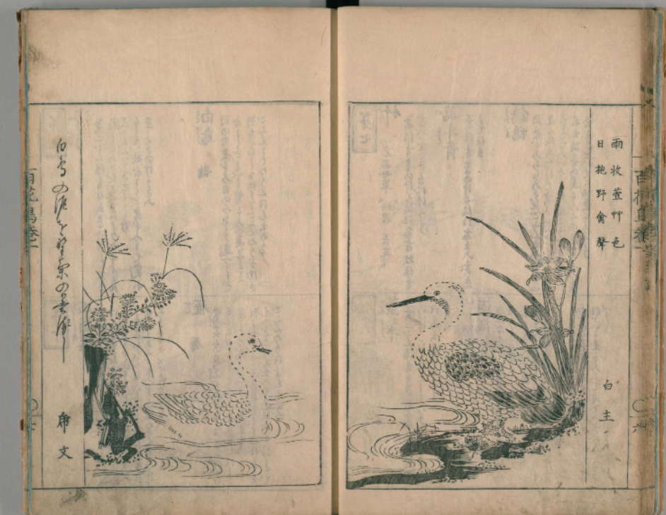 翻刻！いきもの図鑑